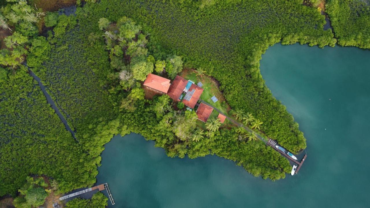 Casa Marlin Bed & Breakfast Бокас дел Торо Екстериор снимка